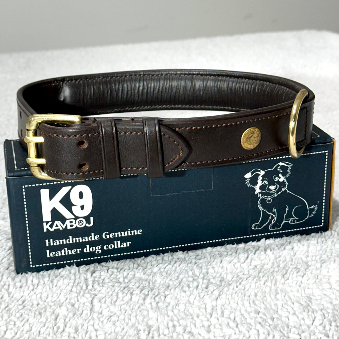 Padded Leather Dog Collar