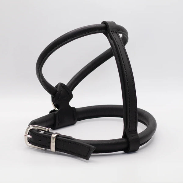 Harnesses