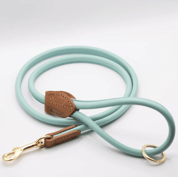 Leads